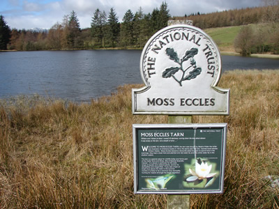 Moss Eccles Tarn